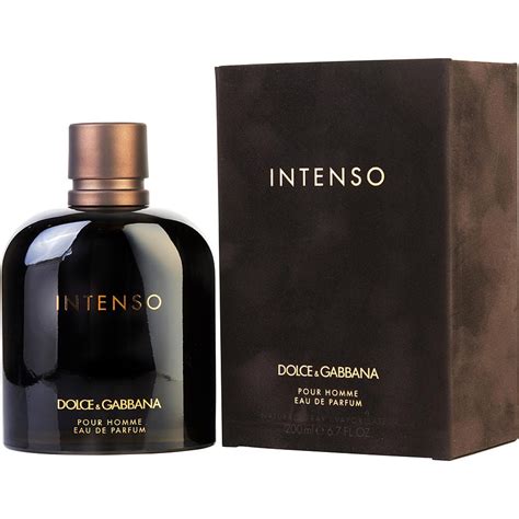 dolce gabbana intenso cologne review|dolce & gabbana intenso review.